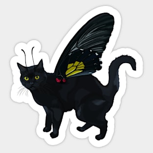 Black Southern Birdwing Shorthair Flitter Kitty Sticker